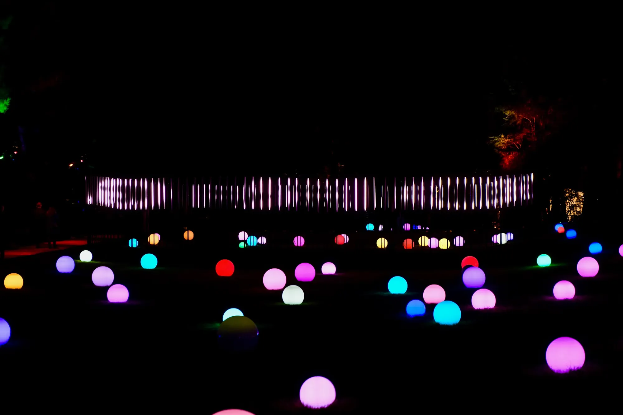 Circle of Light illuminated memorial in Golden Gate Park